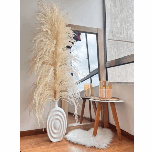 Pampas decorativas