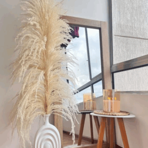 pampas grass
