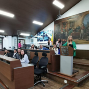 Reconocimiento por impacto social del Concejo de Bogotá